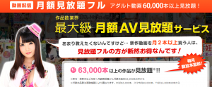 アダルト